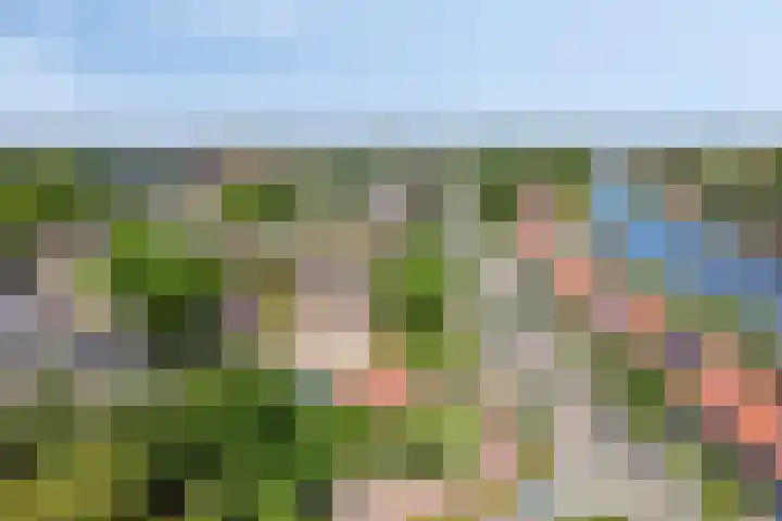 Hoge Rijndijk 28 Zoeterwoude thumbnail 81
