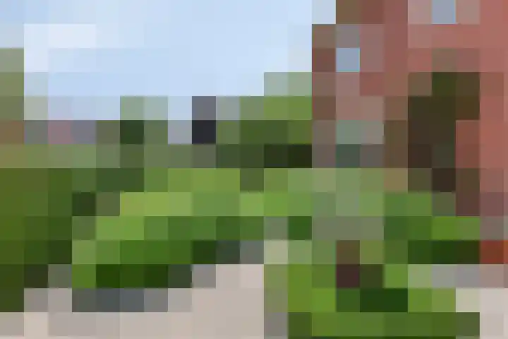 Hoge Rijndijk 28 Zoeterwoude thumbnail 9
