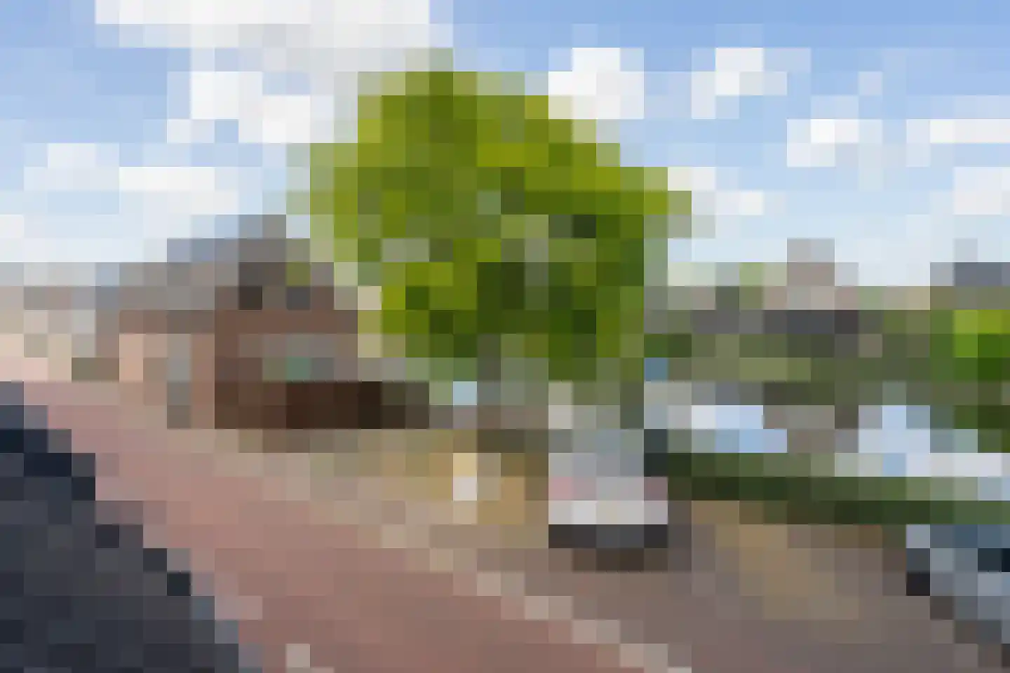 Hoge Rijndijk 29 Nieuwerbrug aan den Rijn thumbnail 49