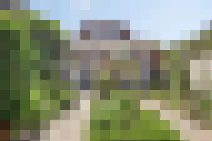 Hoge Rijndijk 310 Leiden thumbnail 32