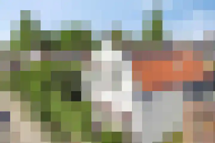 Hoge Rijndijk 310 Leiden thumbnail 37