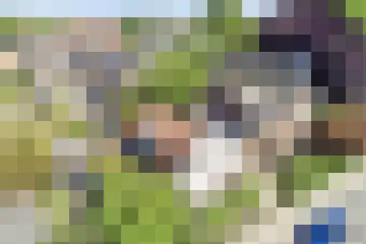 Hoge Rijndijk 310 Leiden thumbnail 4