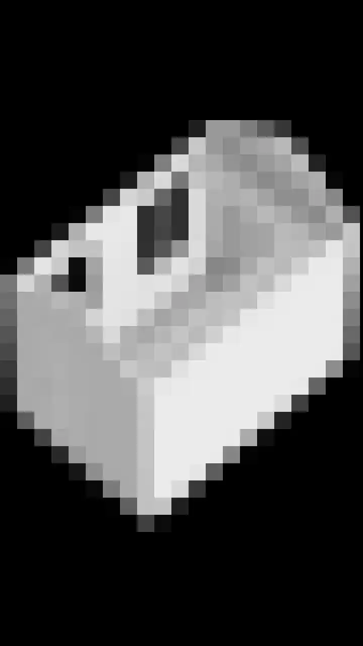Hoge Rijndijk 310 Leiden thumbnail 48