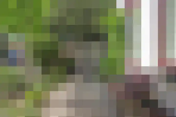 Hoge Rijndijk 310 Leiden thumbnail 5