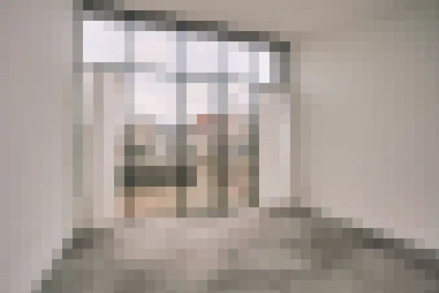 Hoge Rijndijk 316 A Leiden thumbnail 18