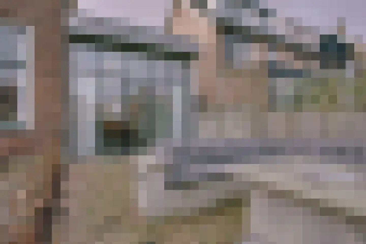 Hoge Rijndijk 316 A Leiden thumbnail 33