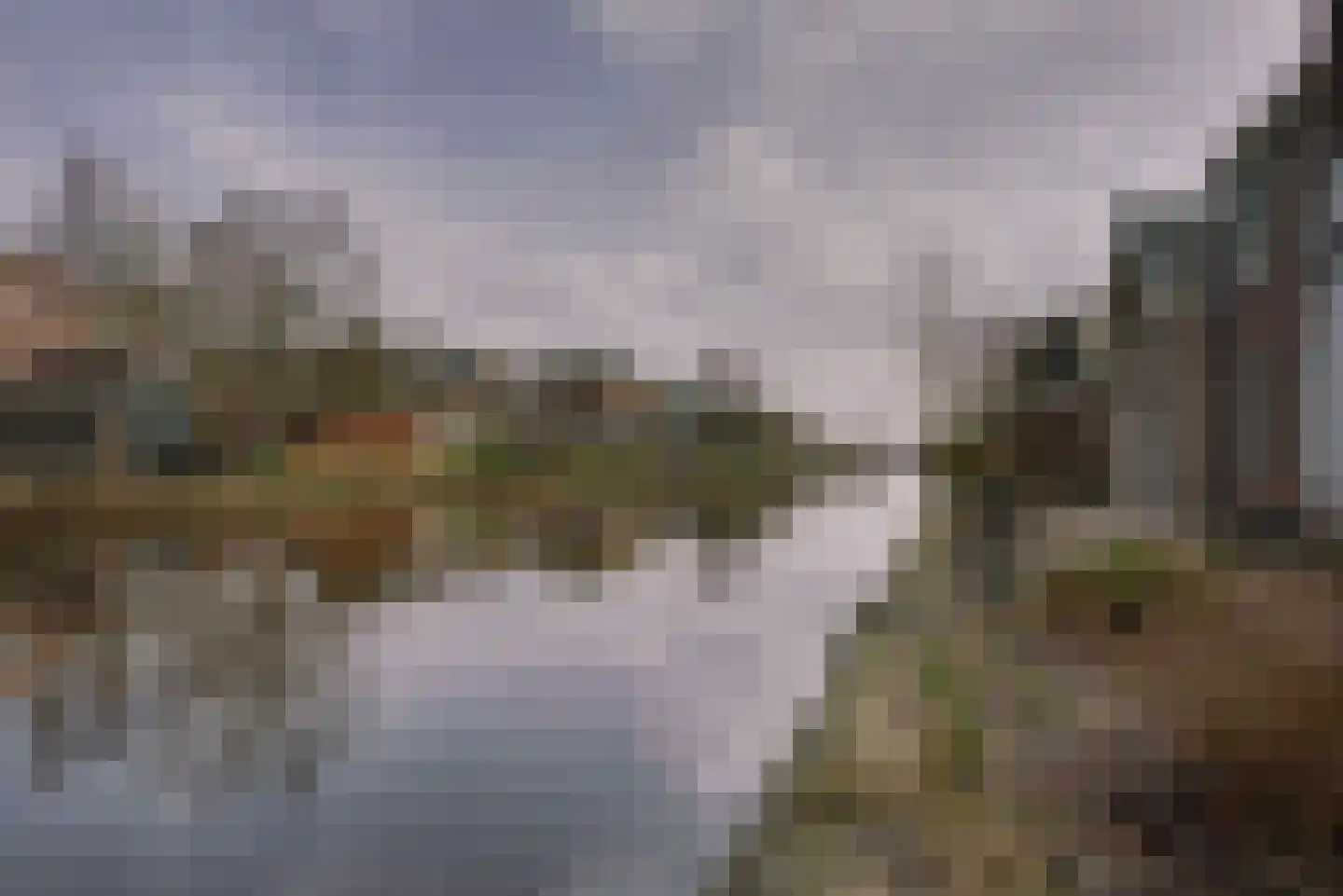 Hoge Rijndijk 316 A Leiden thumbnail 34