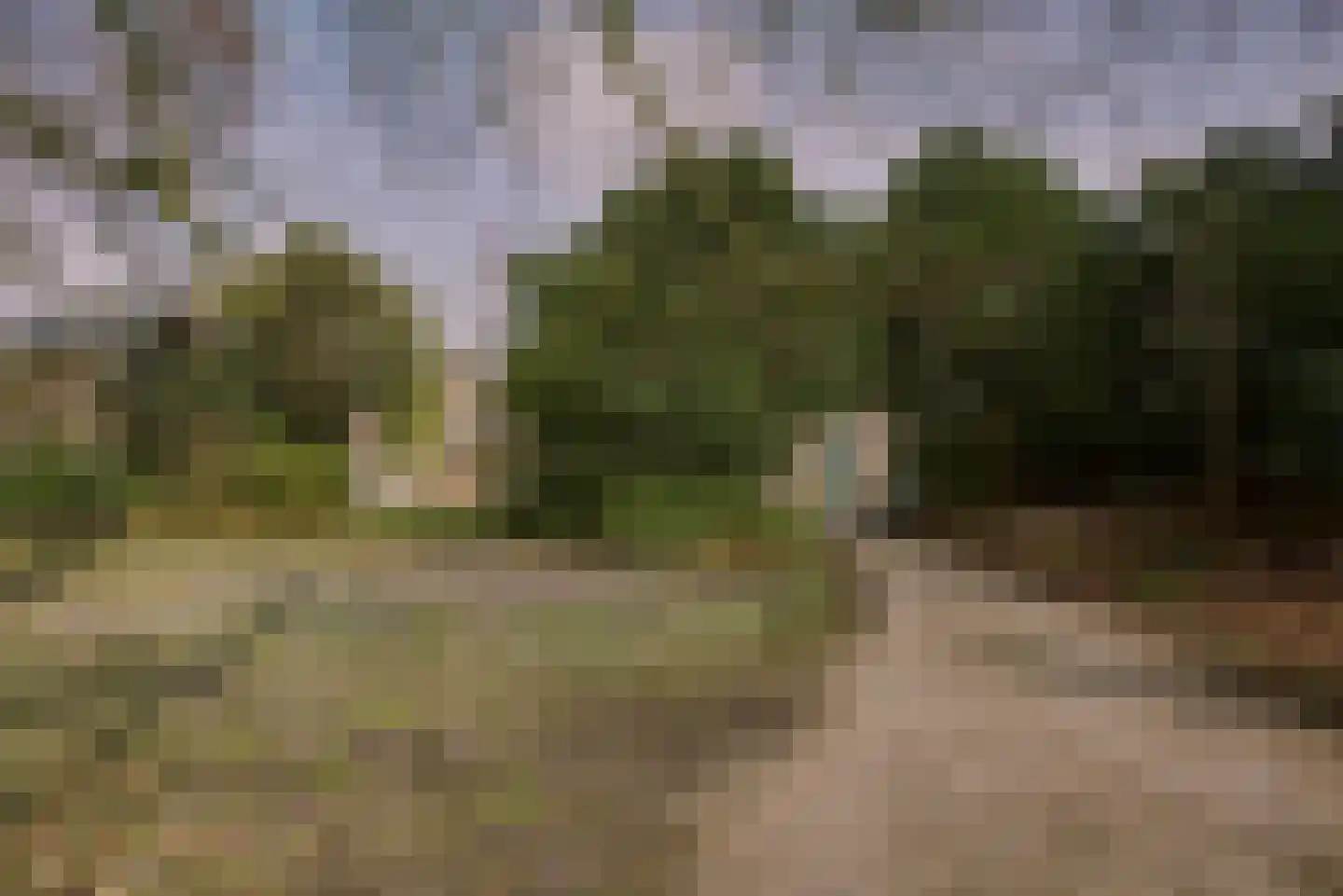 Hoge Rijndijk 316 A Leiden thumbnail 44