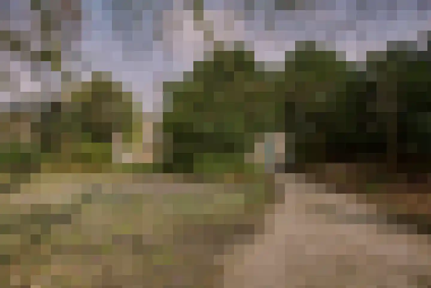Hoge Rijndijk 316 A Leiden thumbnail 44