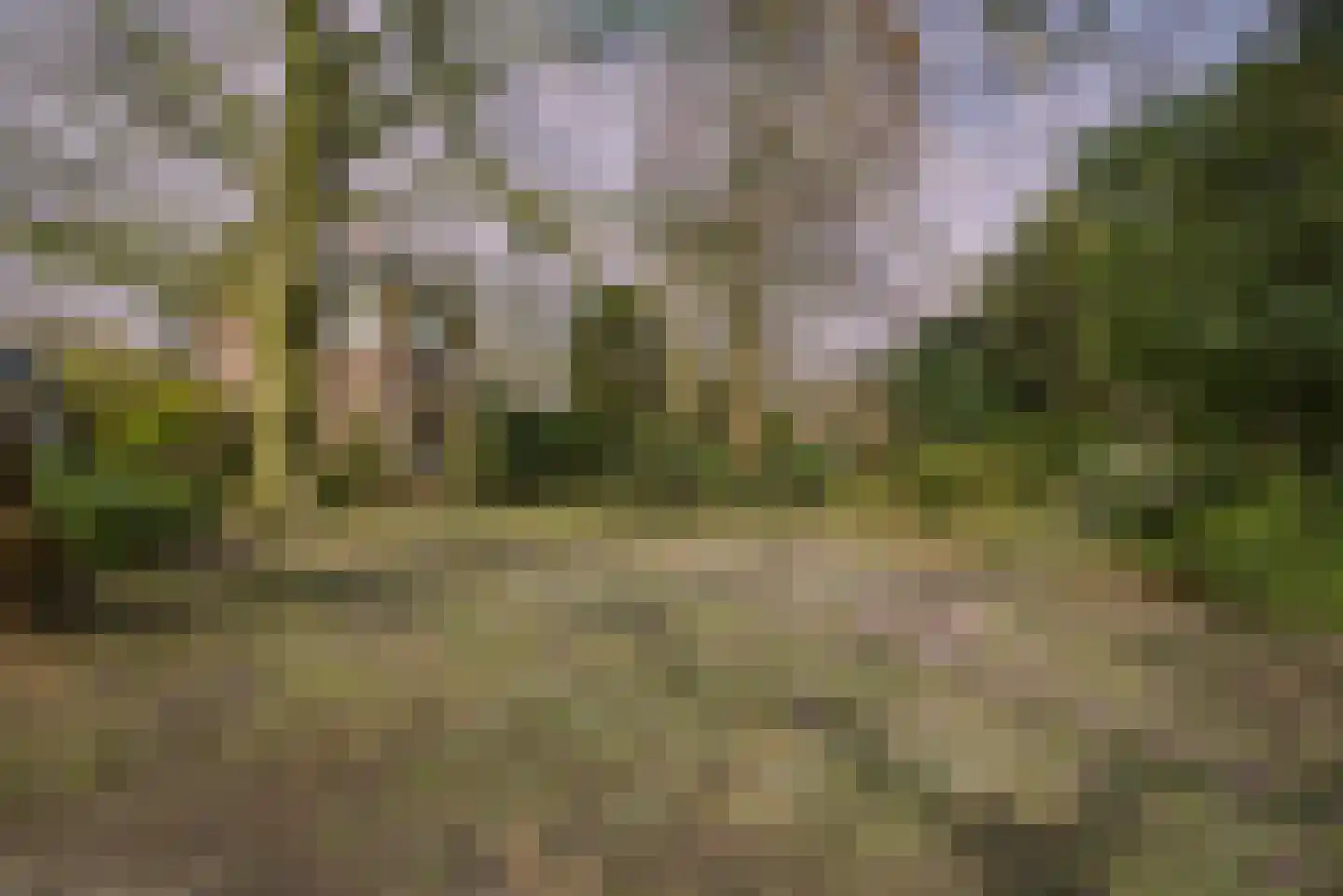 Hoge Rijndijk 316 A Leiden thumbnail 45
