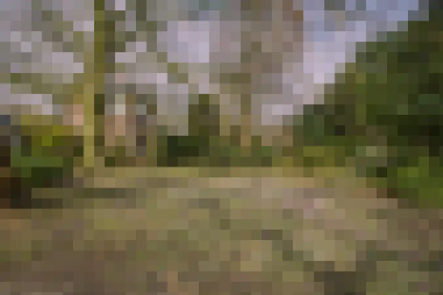 Hoge Rijndijk 316 A Leiden thumbnail 45