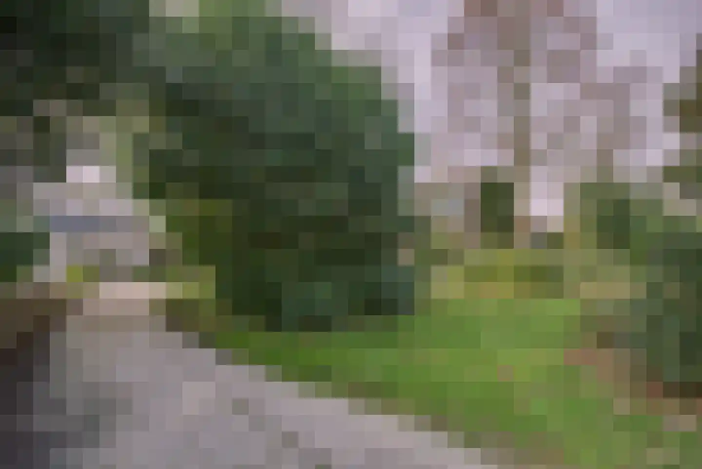 Hoge Rijndijk 316 A Leiden thumbnail 46