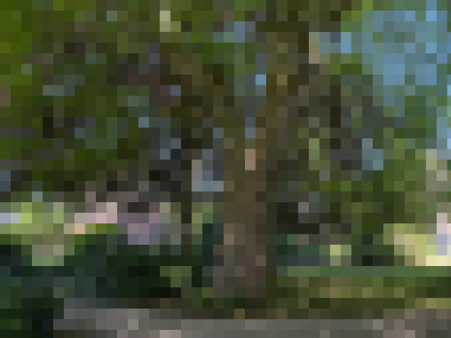 Hoge Rijndijk 316 A Leiden thumbnail 48