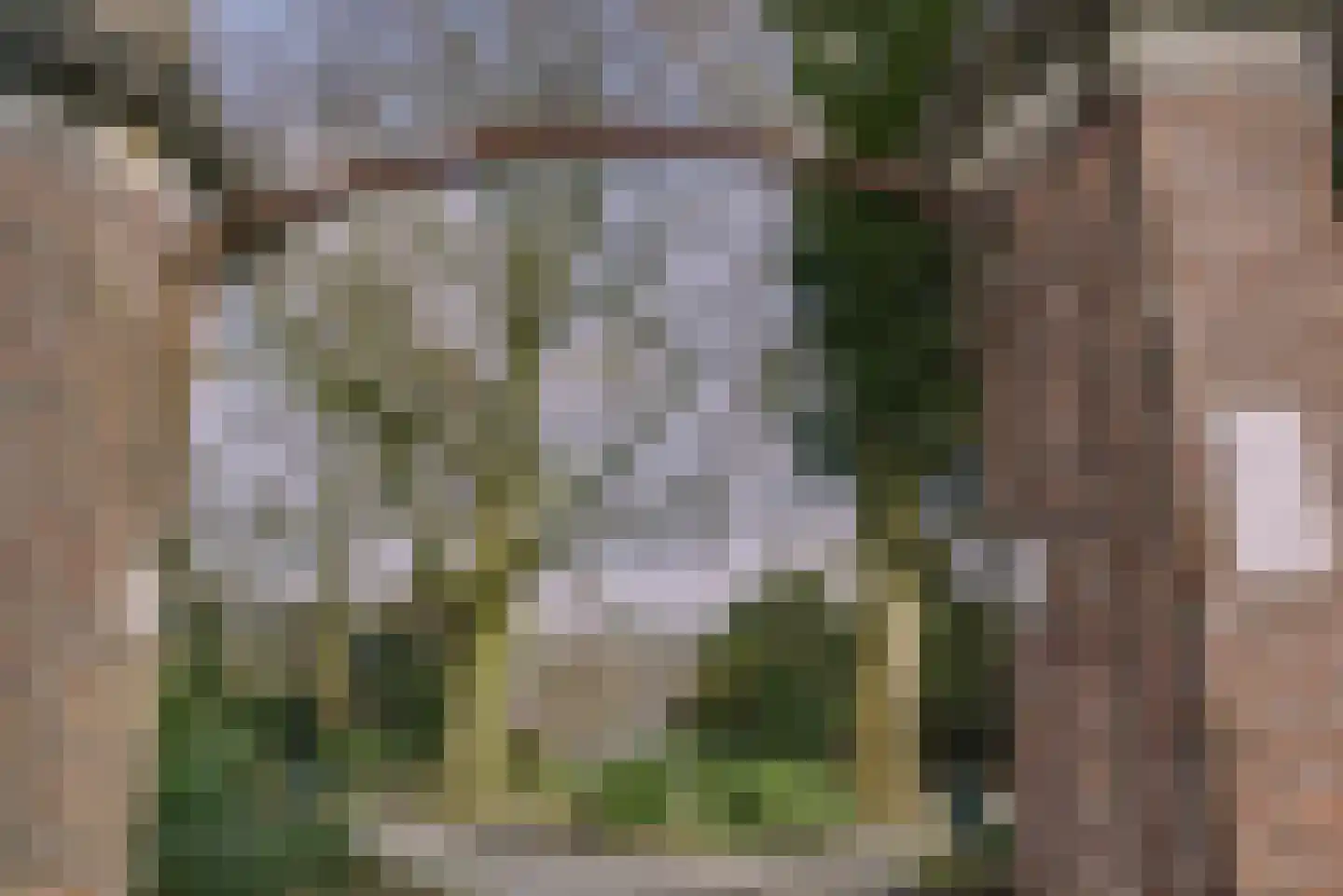 Hoge Rijndijk 316 A Leiden thumbnail 5