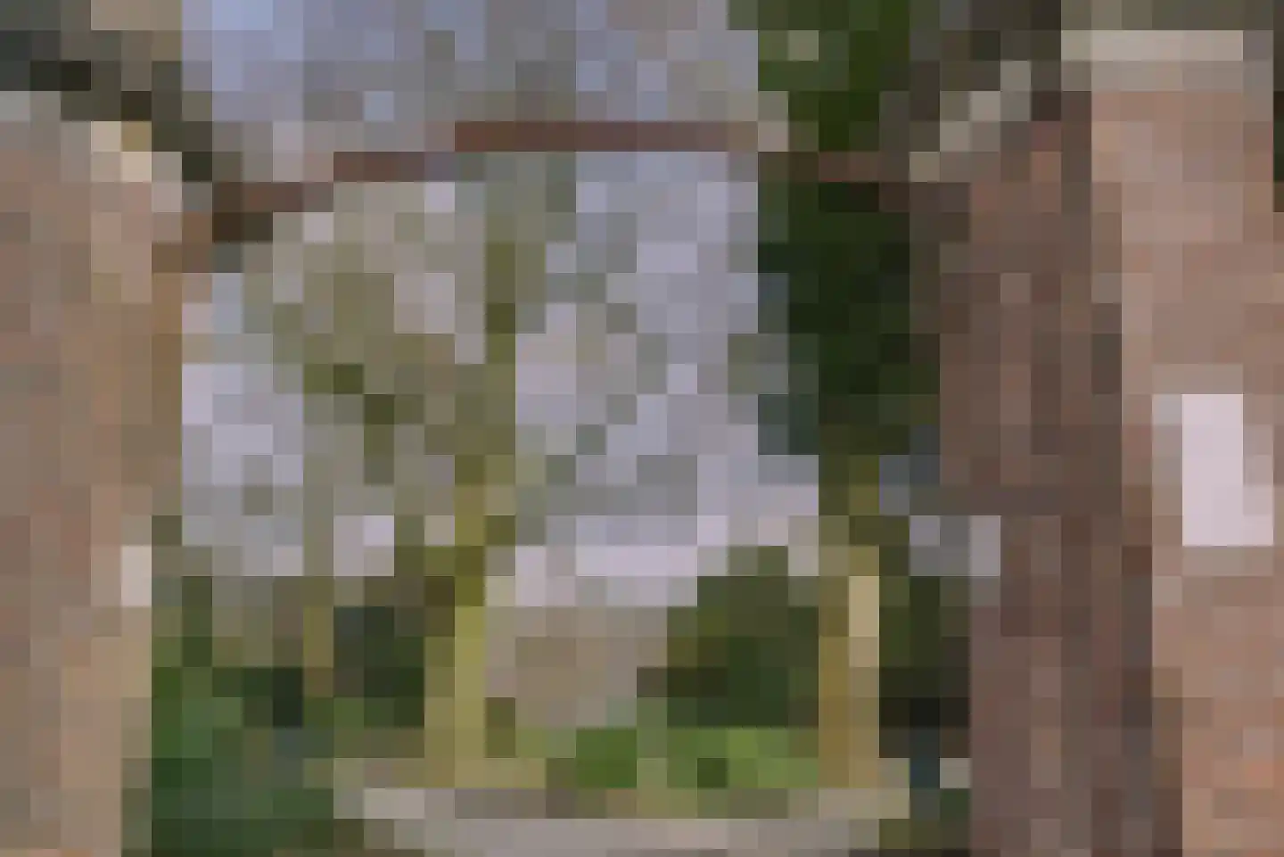 Hoge Rijndijk 316 A Leiden thumbnail 5