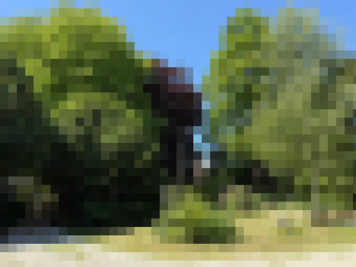 Hoge Rijndijk 316 A Leiden thumbnail 51