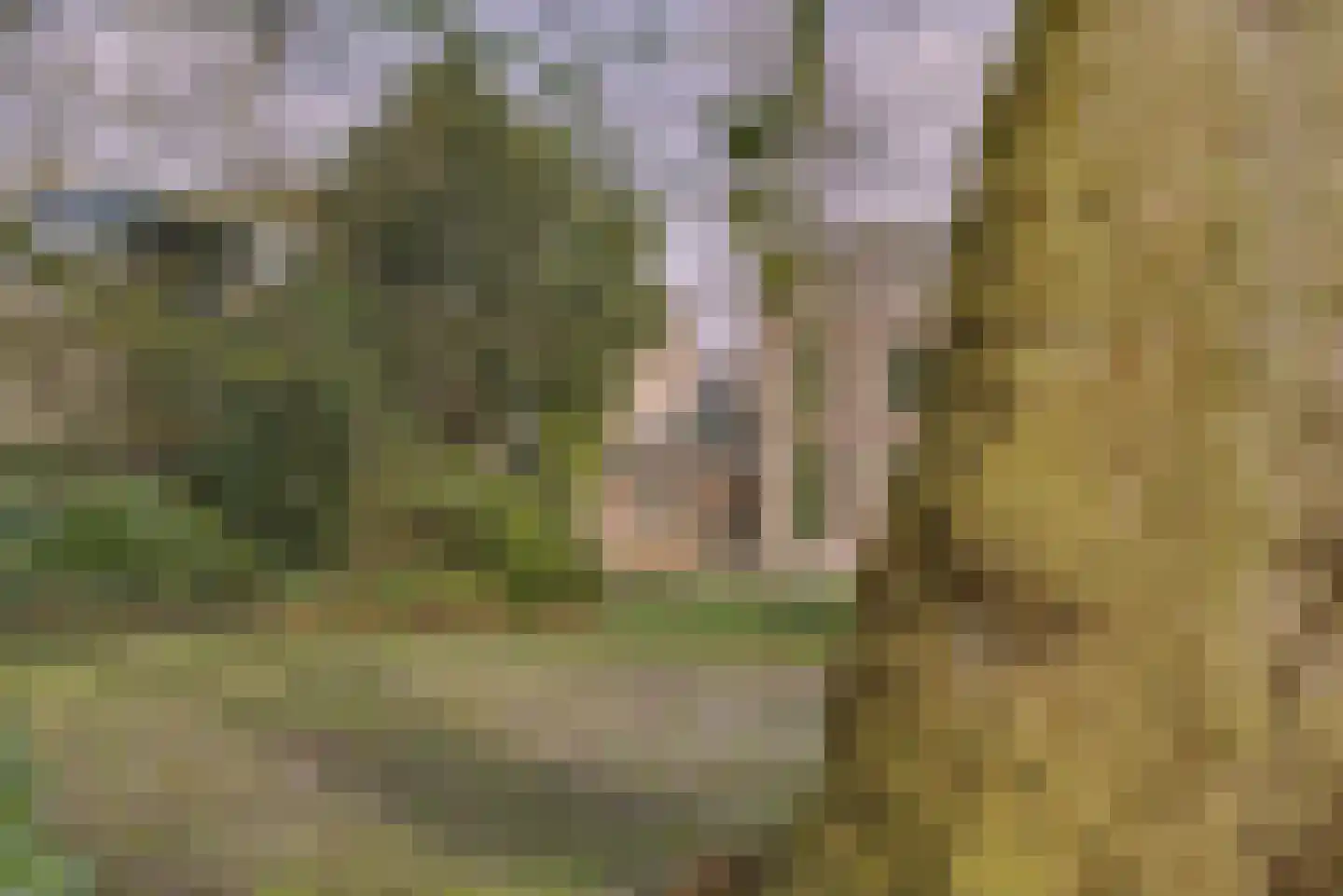 Hoge Rijndijk 316 A Leiden thumbnail 8