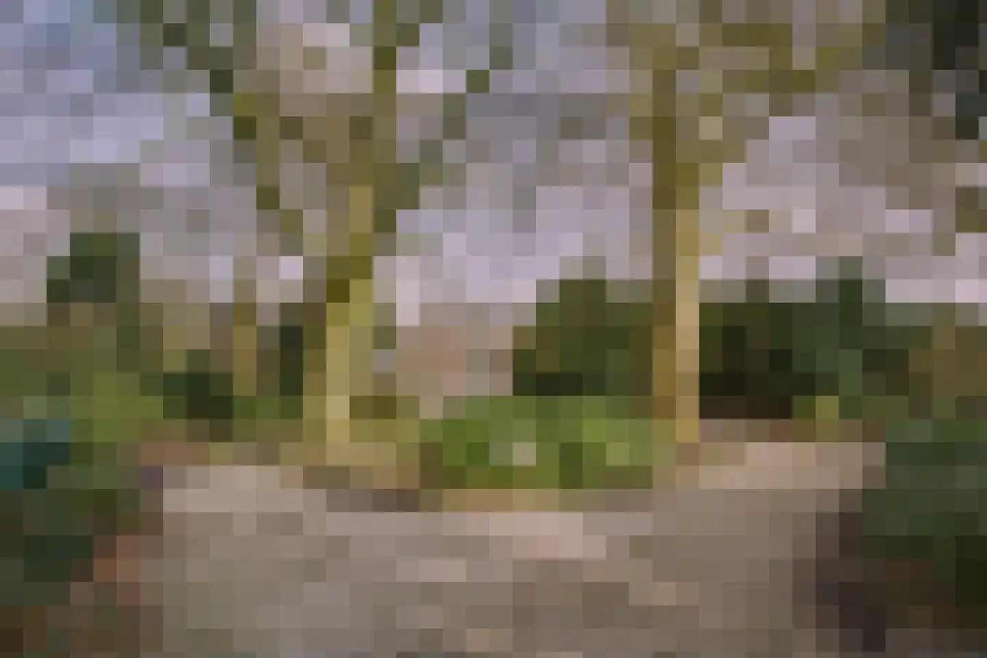 Hoge Rijndijk 316 A Leiden thumbnail 9