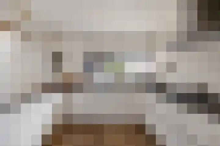 Hoge Rijndijk 34 Zoeterwoude thumbnail 10