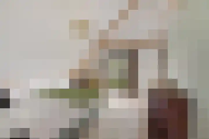 Hoge Rijndijk 34 Zoeterwoude thumbnail 15