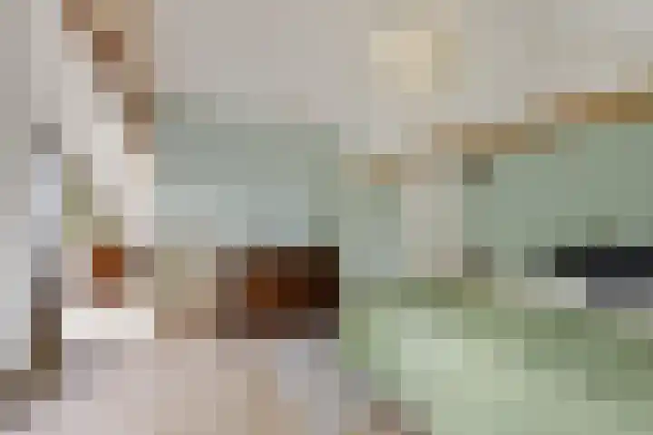 Hoge Rijndijk 34 Zoeterwoude thumbnail 16