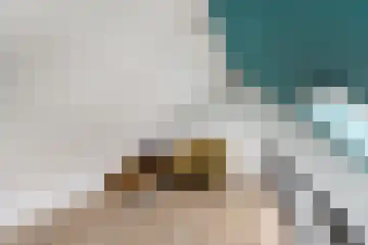 Hoge Rijndijk 34 Zoeterwoude thumbnail 21
