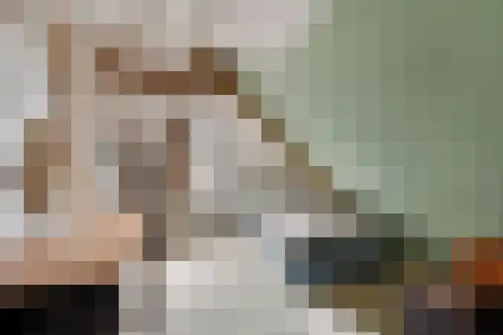 Hoge Rijndijk 34 Zoeterwoude thumbnail 22