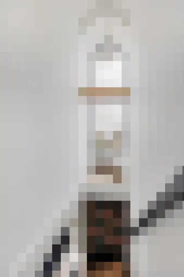 Hoge Rijndijk 34 Zoeterwoude thumbnail 27