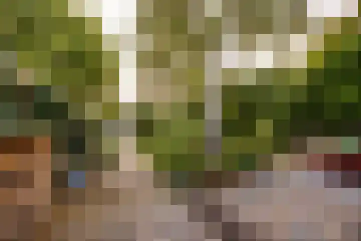 Hoge Rijndijk 34 Zoeterwoude thumbnail 29
