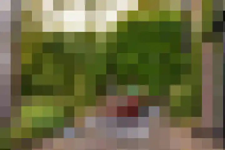 Hoge Rijndijk 34 Zoeterwoude thumbnail 30
