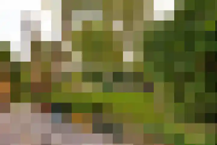 Hoge Rijndijk 34 Zoeterwoude thumbnail 31