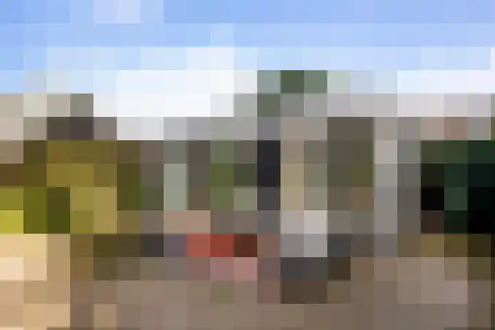 Hoge Rijndijk 34 Zoeterwoude thumbnail 32