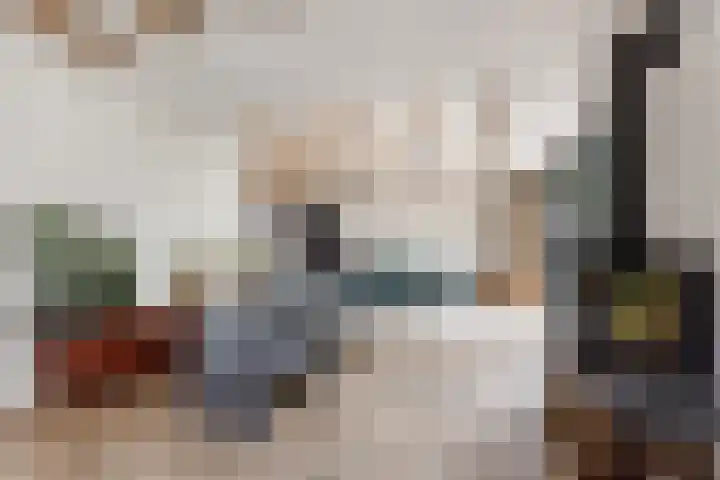 Hoge Rijndijk 34 Zoeterwoude thumbnail 4