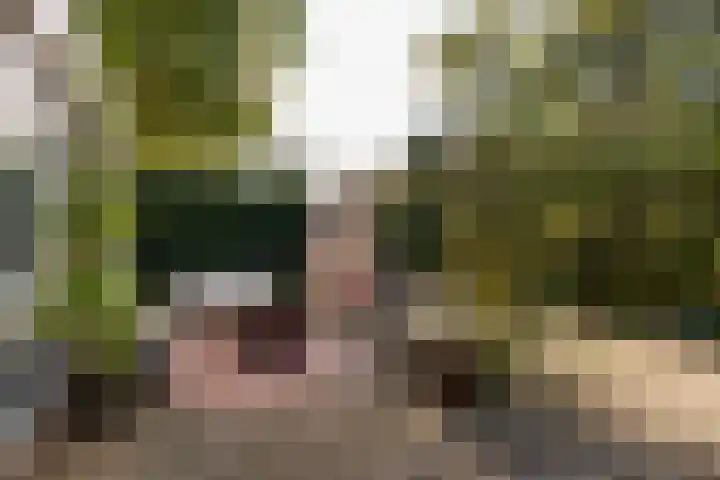 Hoge Rijndijk 34 Zoeterwoude thumbnail 41
