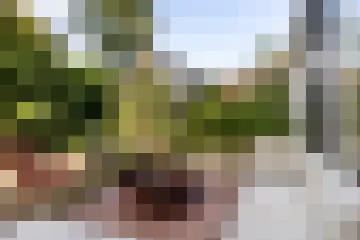 Hoge Rijndijk 34 Zoeterwoude thumbnail 42