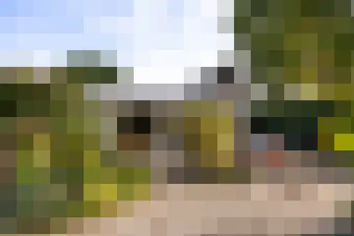 Hoge Rijndijk 34 Zoeterwoude thumbnail 43