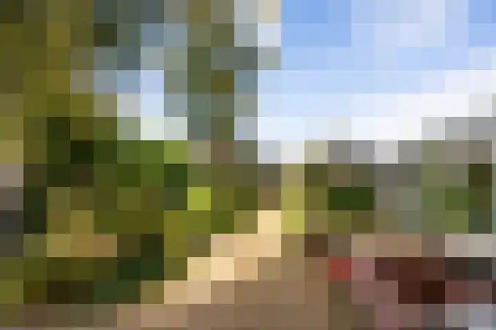Hoge Rijndijk 34 Zoeterwoude thumbnail 44