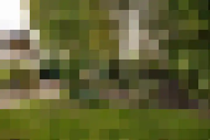 Hoge Rijndijk 34 Zoeterwoude thumbnail 45