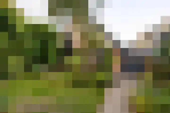 Hoge Rijndijk 34 Zoeterwoude thumbnail 47