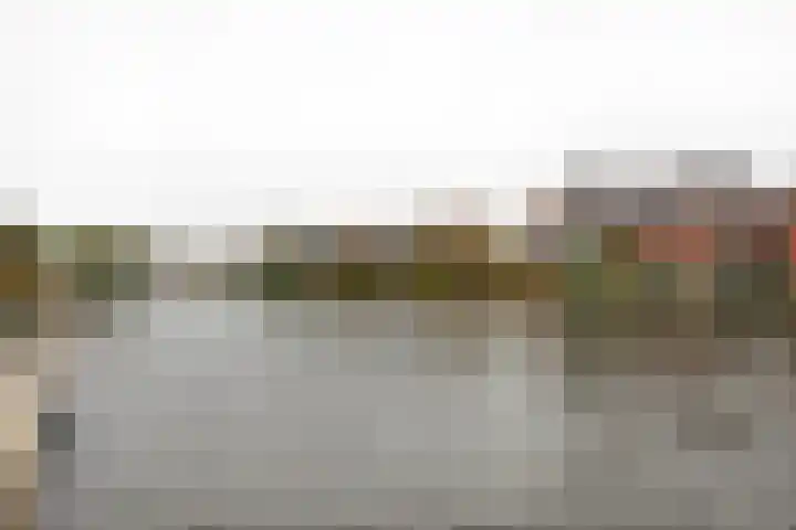 Hoge Rijndijk 34 Zoeterwoude thumbnail 49