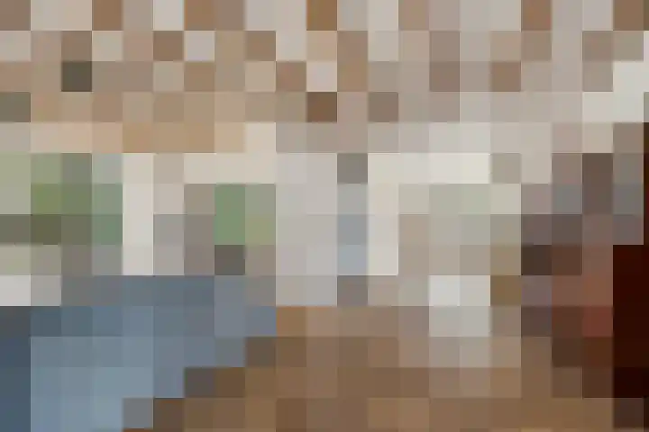 Hoge Rijndijk 34 Zoeterwoude thumbnail 5
