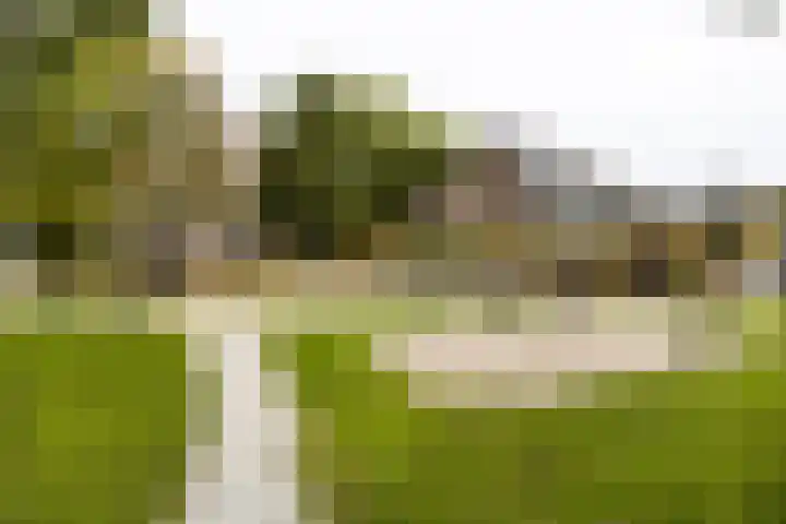 Hoge Rijndijk 34 Zoeterwoude thumbnail 50