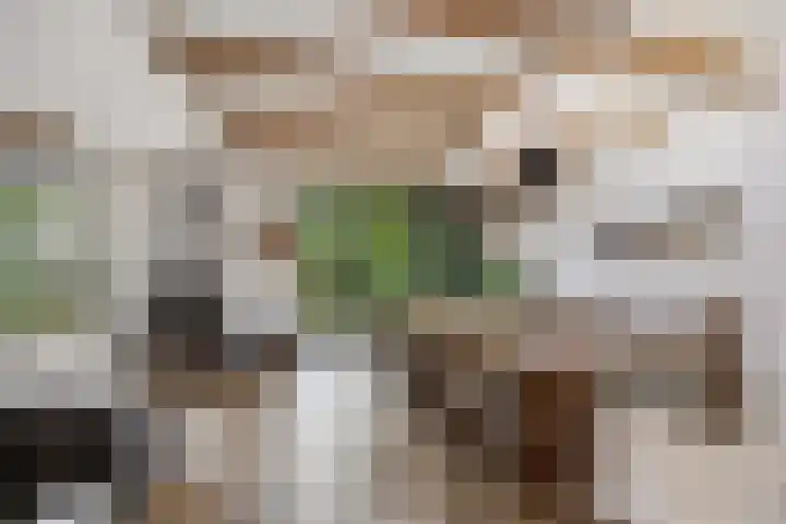 Hoge Rijndijk 34 Zoeterwoude thumbnail 6