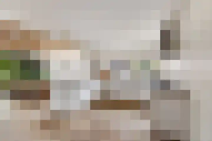 Hoge Rijndijk 34 Zoeterwoude thumbnail 9
