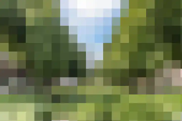 Hoge Rijndijk 36 A Leiden thumbnail 33
