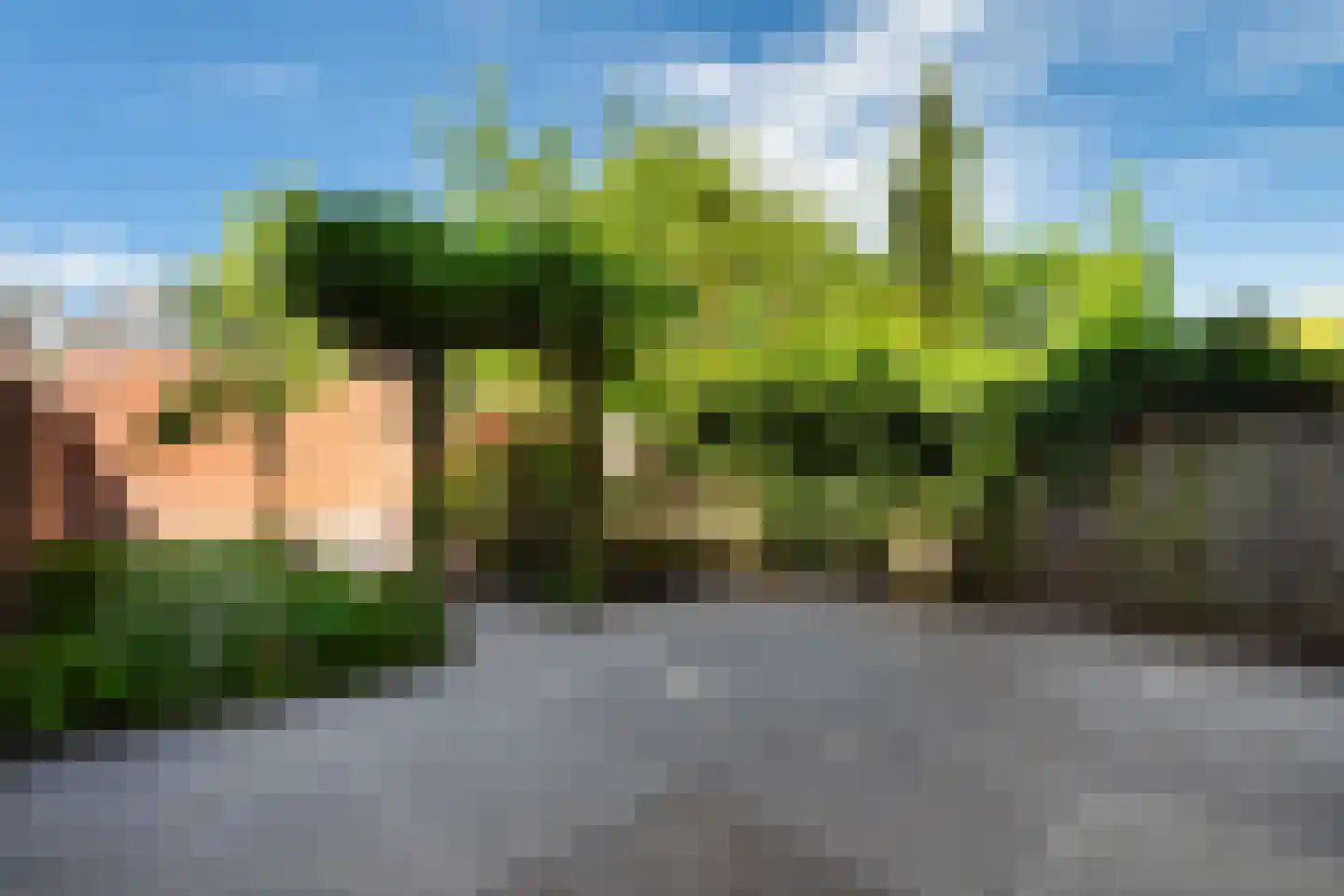 Hoge Rijndijk 36 Leiden thumbnail 36