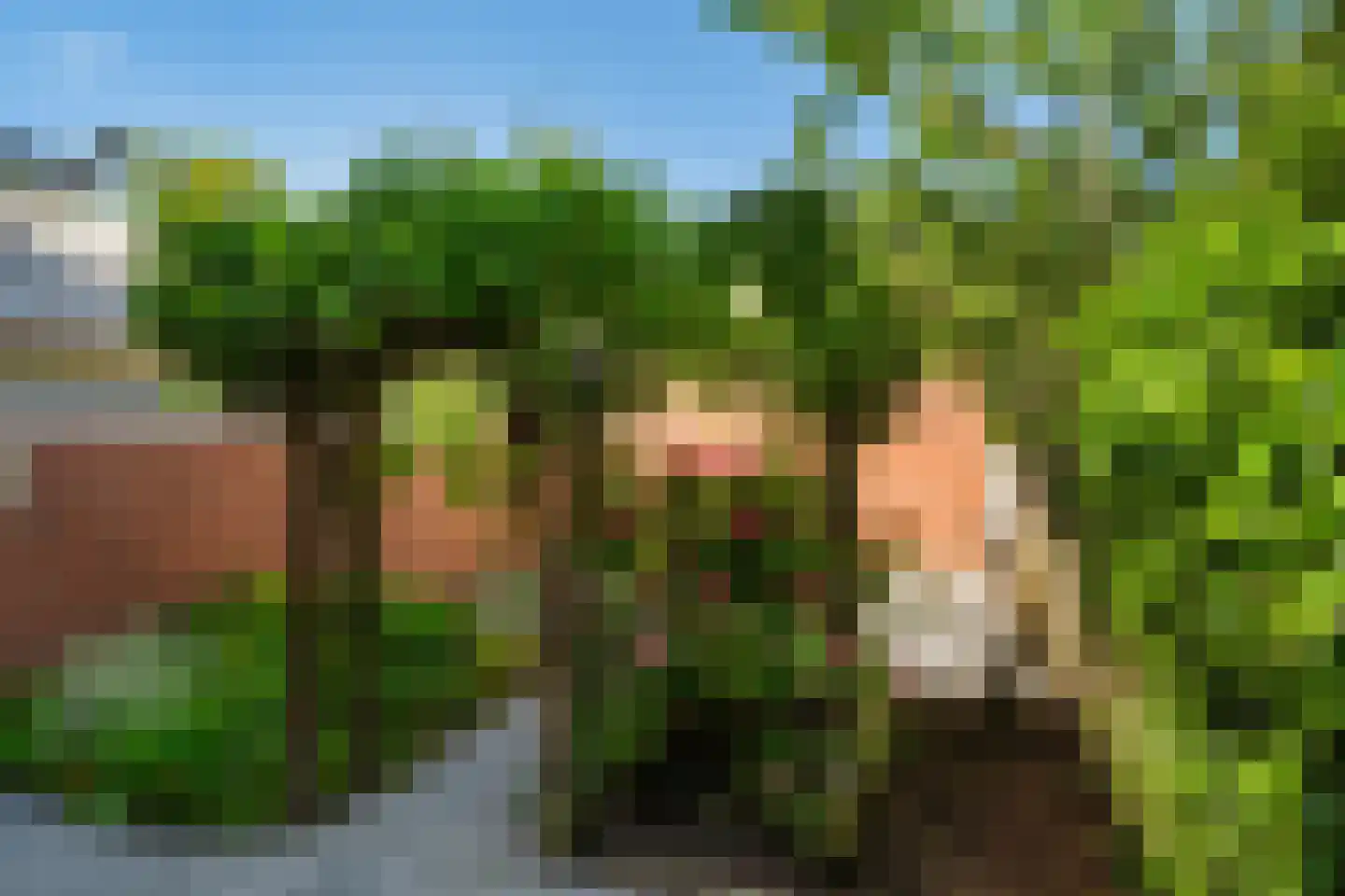 Hoge Rijndijk 36 Leiden thumbnail 39