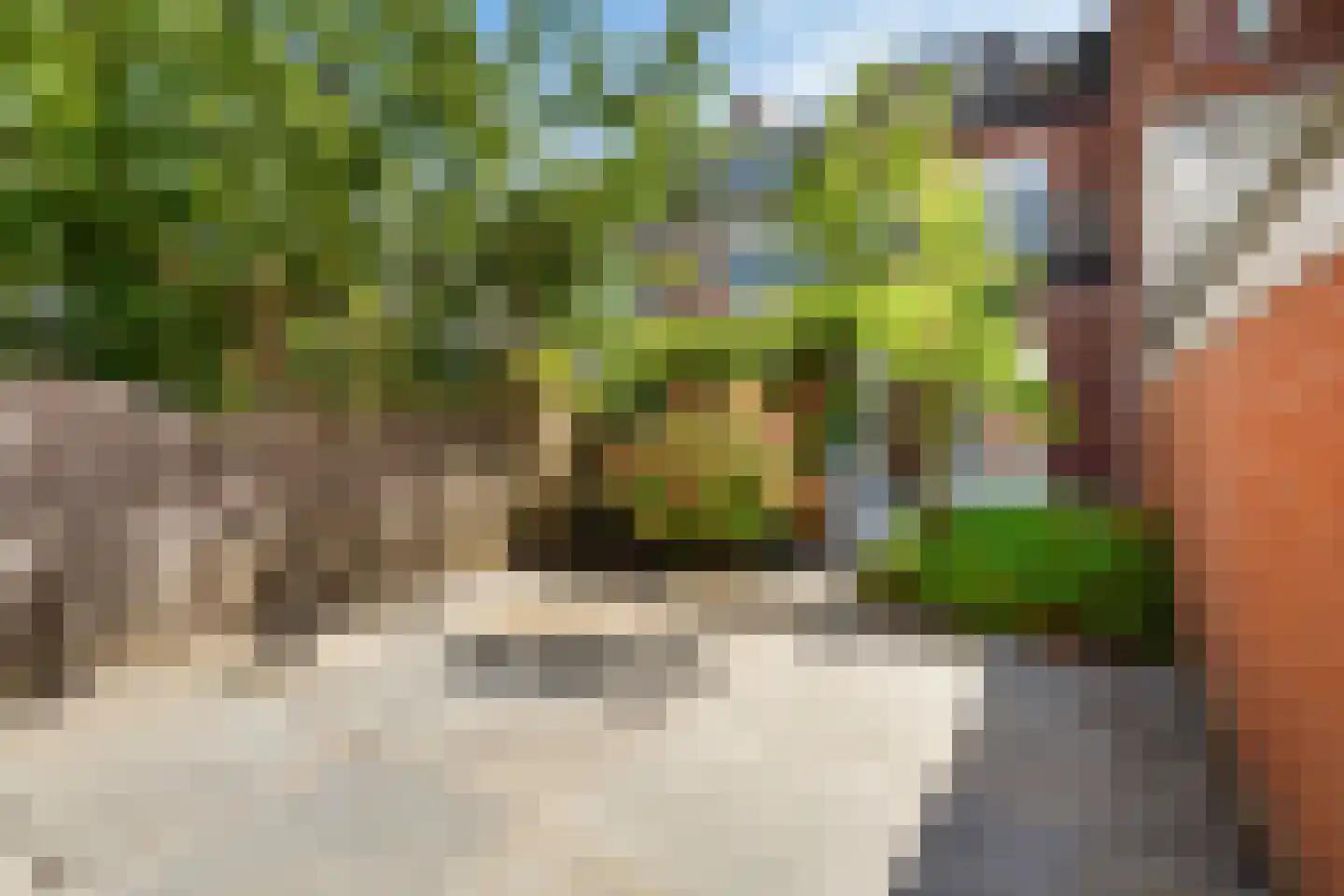 Hoge Rijndijk 36 Leiden thumbnail 43