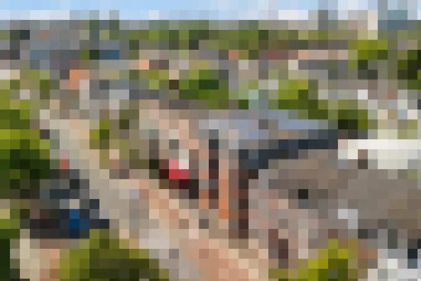 Hoge Rijndijk 36 Leiden thumbnail 46