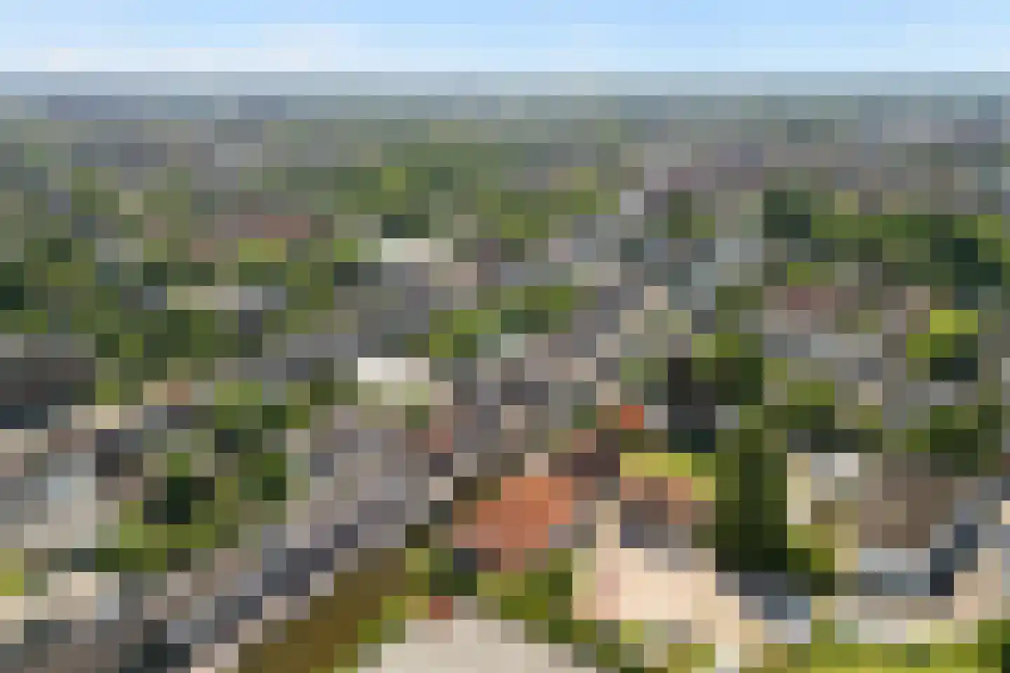 Hoge Rijndijk 36 Leiden thumbnail 48